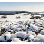 verschneite Landschaft von Tulpe-Production