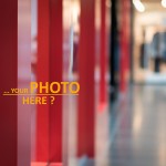 Models Wanted - Tulpe-Production