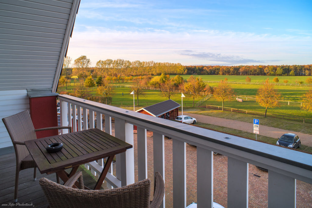 Ausblick zum Küstenwals - Aparthotel Strandhafer Ferienwohnung 40