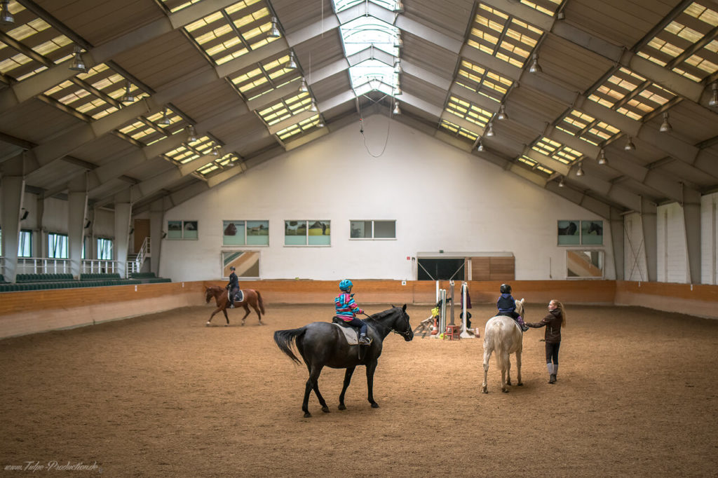 Freizeitspass Reiten nahe Warnemünde