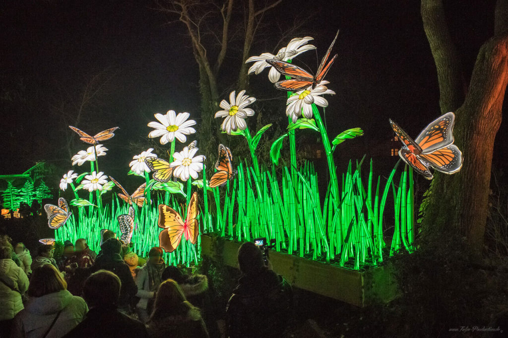 Besucherandrang im Zoo Halle